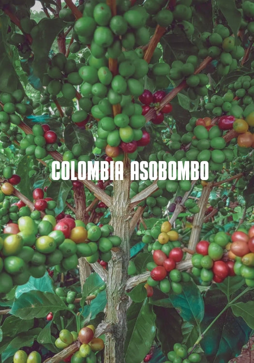Colombia Asobombo
