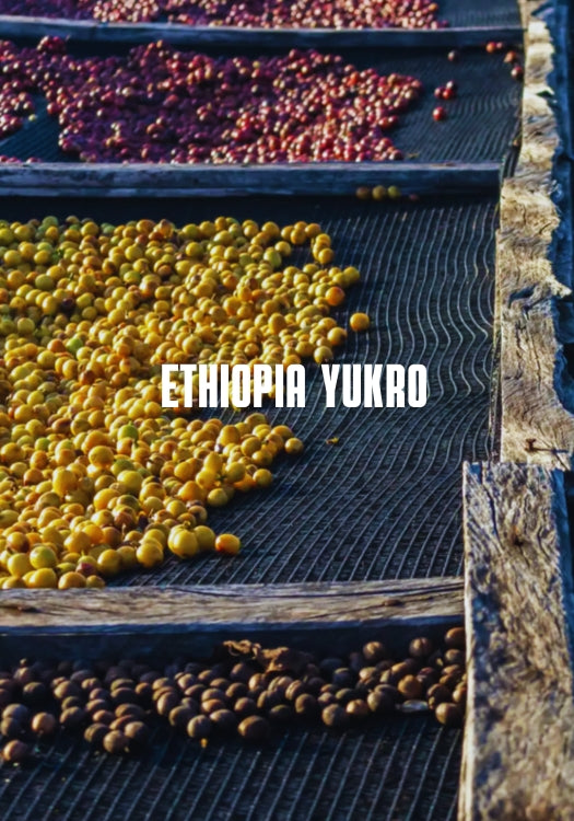 Ethiopia Yukro
