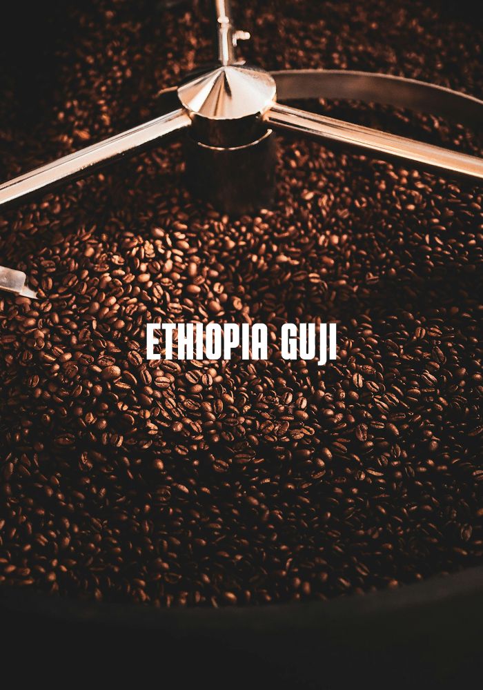 Ethiopia Guji (Specialty)